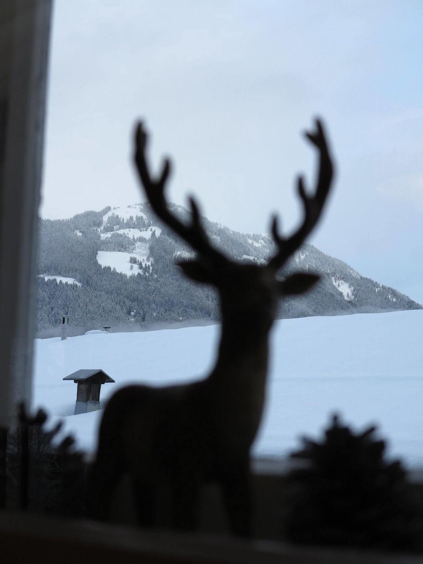 Kitzbuehel Apartments Haus Brugger エクステリア 写真